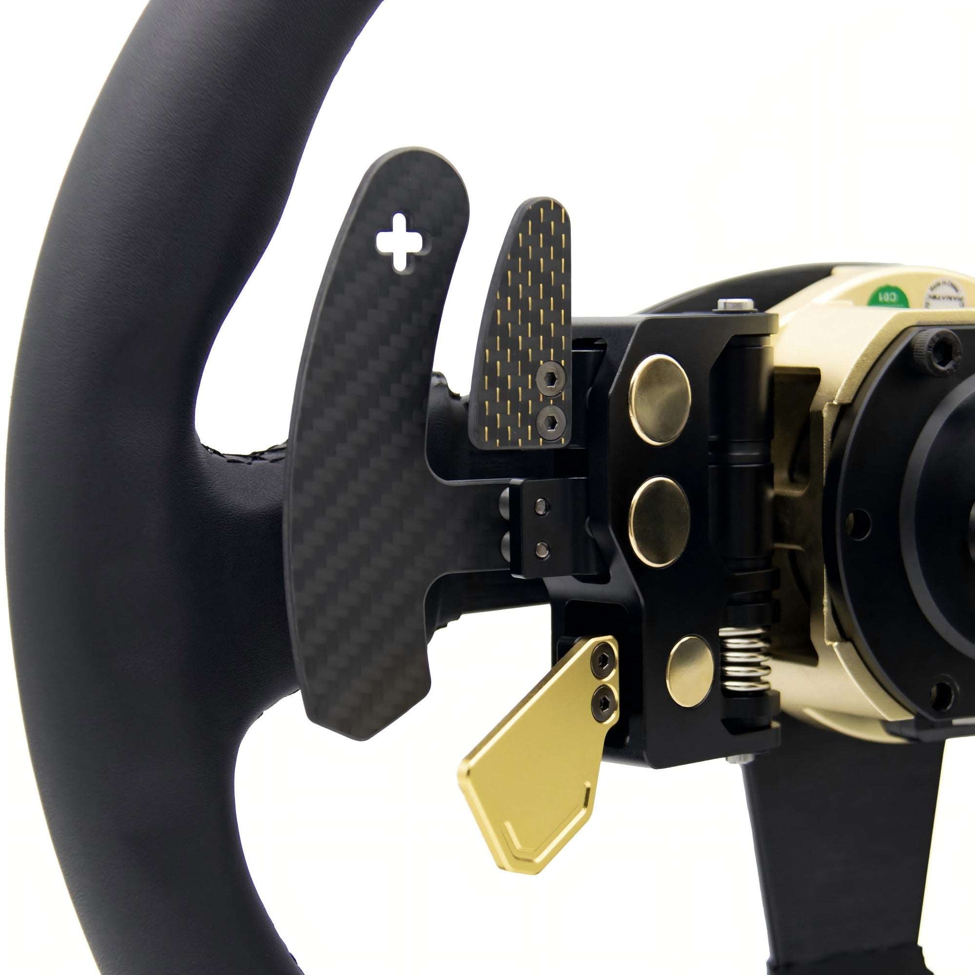 Podium Advanced Paddle Module